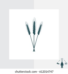 Ears of Wheat icon. vector illustration