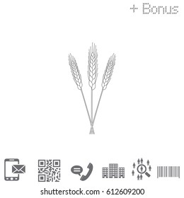 Ears of Wheat icon. vector illustration