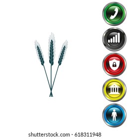 Ears of Wheat icon. vector illustration