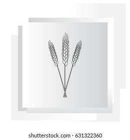 Ears of Wheat icon. vector illustration