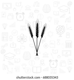 Ears of Wheat icon. vector illustration