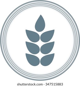 Ears of Wheat icons, ideal for bread packaging, beer labels 