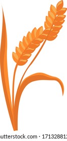 Ears of wheat, illustration, vector on white background