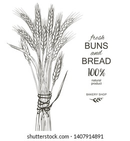 Ears of wheat isolated on white background. Cereals harvest, agriculture, organic farming, healthy food symbol. Bakery design element  Hand drawn realistic vector illustration