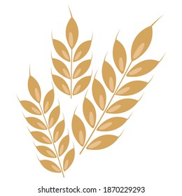 Ears of wheat isolated on white background. Vector illustration.