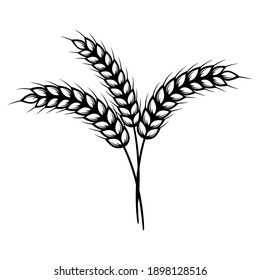 Ears of wheat isolated on white background. Vector elements for design