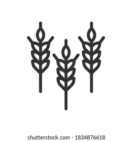 Ears of wheat, linear icon. Editable stroke