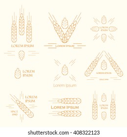 Ears of wheat logo design for beer brewery, wheat factory. vector label sign with spica. Logo set for farming, growing cereals