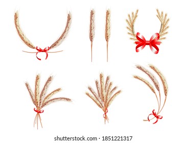 Ears of wheat, oat, rye and barley.  Bunch of wheat ears, dried whole grains realistic