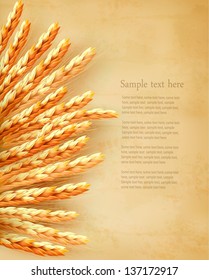 Ears of wheat on old paper background. Vector illustration