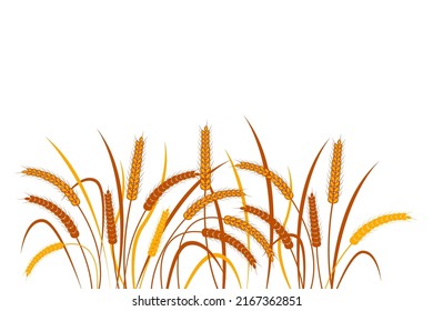 Ears of wheat on a transparent background. Horizontal pattern. Two color vector illustration