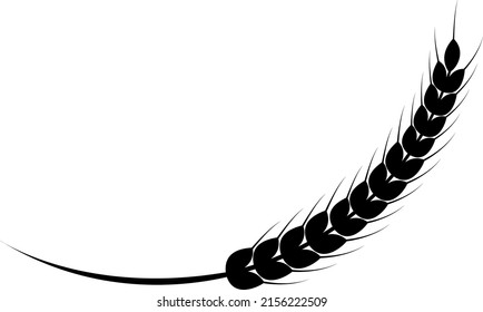 Orejas de trigo en un fondo blanco. Ilustración vectorial. Sencillo estilo blanco y negro.