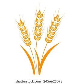 Ears of wheat on a white background
