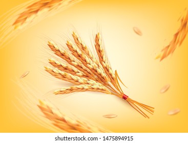 Ears of wheat on yellow background. Vector illustration.