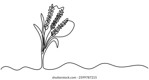 Ears of wheat one continuous line drawing .Fall harvest line art. Vector one line of spikelet. Thanksgiving symbol, One continuous line drawing of ears of wheat or rice. Organic healthy agriculture