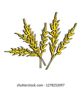 Ears of wheat. Passover, Shavuot. Vector illustration on isolated background.