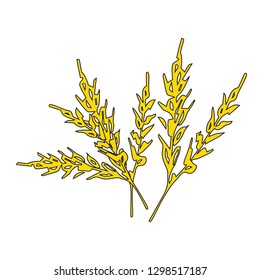 Ears of wheat. Passover, Shavuot. Vector illustration on isolated background.