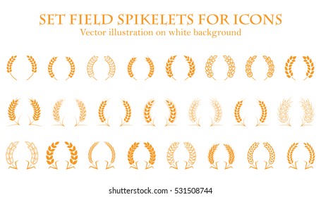 Ears of wheat or rice set icons. Agricultural spikelets of wheat symbols on a white background. Organic farming farm crop seeds bread packaging or label beer. Vector ears of wheat.