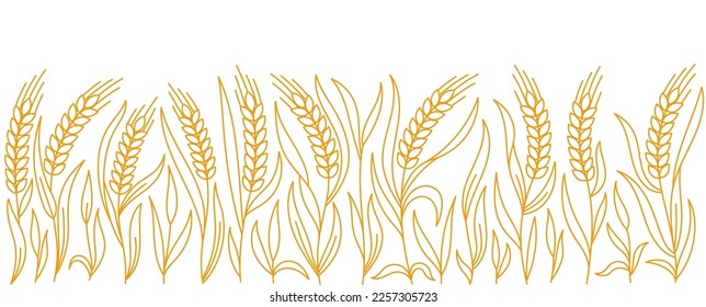 Ears of wheat rye or barley. Cereal agriculture field. Vector line. Editable outline stroke.