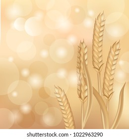 Ears of wheat, rye, field ears of grass, autumn harvest, natural blanks for bread, beer, realistic isolated vector illustration on colored background.