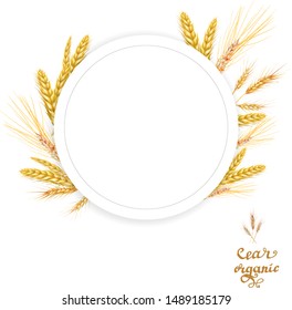 ears of wheat rye frame circle detailed vector illustration