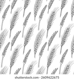 Ears of wheat seamless pattern. Sketch vector background with cereal plants