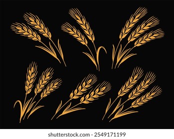 Ears of wheat set. Design elements for packaging and labeling of baked goods, bread, pasta, flour