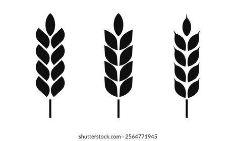 Ears of wheat symbols. Wheat silhouettes. Wheat icon vector illustration. Cereal grains for making bread