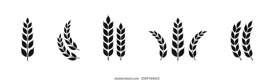 Ears of wheat symbols. Wheat silhouettes. Wheat vector icons