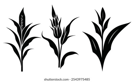 Ears of Wheat Symbols Vector Icons for Agriculture and Harvest Themes