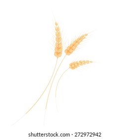 ears of wheat vector