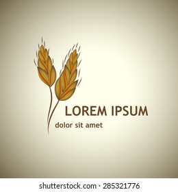ears of wheat. Vector