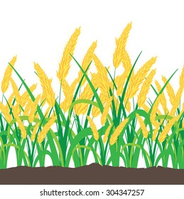 The ears of wheat. Vector.
