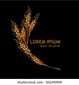 Ears of wheat. Vector