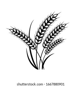 Ears of wheat. Vector elements for design