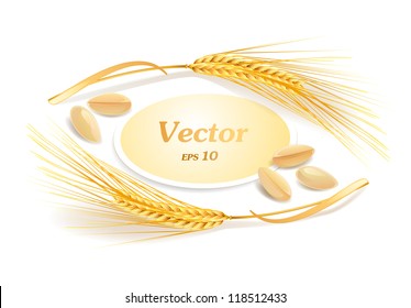 Ears of wheat. Vector eps 10.