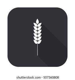Ears of wheat vector icon - squared button  with long shadow
