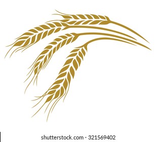 Ears of Wheat vector illustration