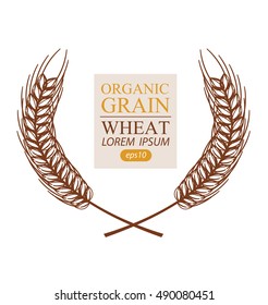 Ears of wheat. Vector illustration.