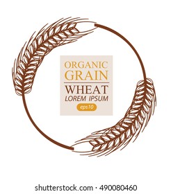 Ears of wheat. Vector illustration.