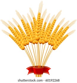 ears of wheat - vector illustration