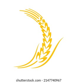 Ears of wheat. Whole grains for making bread.