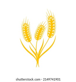 Ears of wheat. Whole grains for making bread.