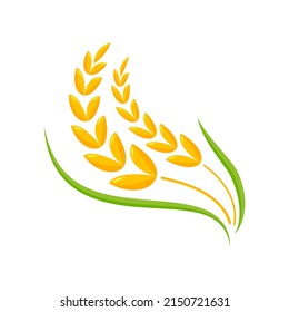 Ears of wheat. Whole grains for making bread.