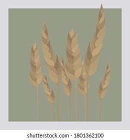ears of wheat.Wheat grains. Ripe spikelets of cereals.Cereals icon set with rice, corn, oats, rye, barley sign. Ears of wheat bread symbols. Agriculture  symbol. Vector Illustration