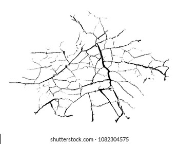 Earth cracks isolated on white background. Grunge abstract texture. Distressed vector illustration.
