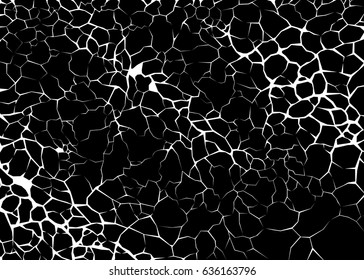 Earth cracks or networks of roots on black background. Texture design in grunge style.