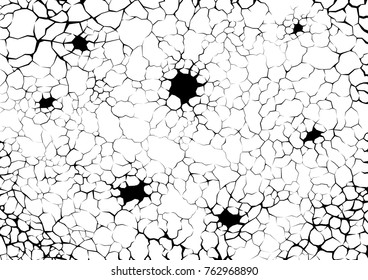 Earth cracks or networks of roots on white background. Hole in the cracked concrete wall. Texture wood design in grunge with stone polygon style.