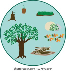 Earth day concept with new growth on a trunk, a growing plant on a pot, a patch of grass, a plant next to rocks, fall leaves, a stack of sticks, and a healthy tree on a green background.