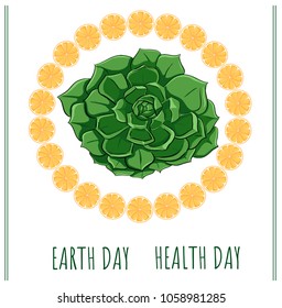 Earth day  health day - echeveria and orange - planet